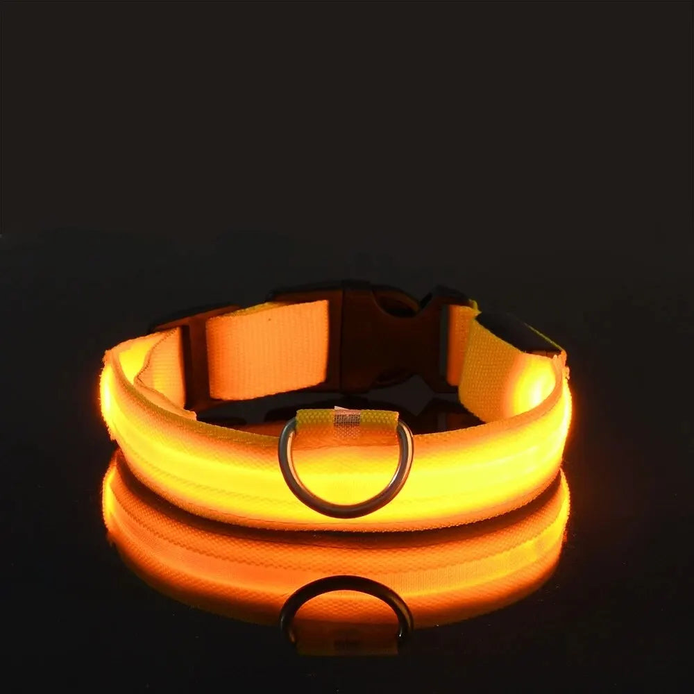 LED Glow-in-the-Dark Dog Leash & Collar – USB Rechargeable Night Safety Set