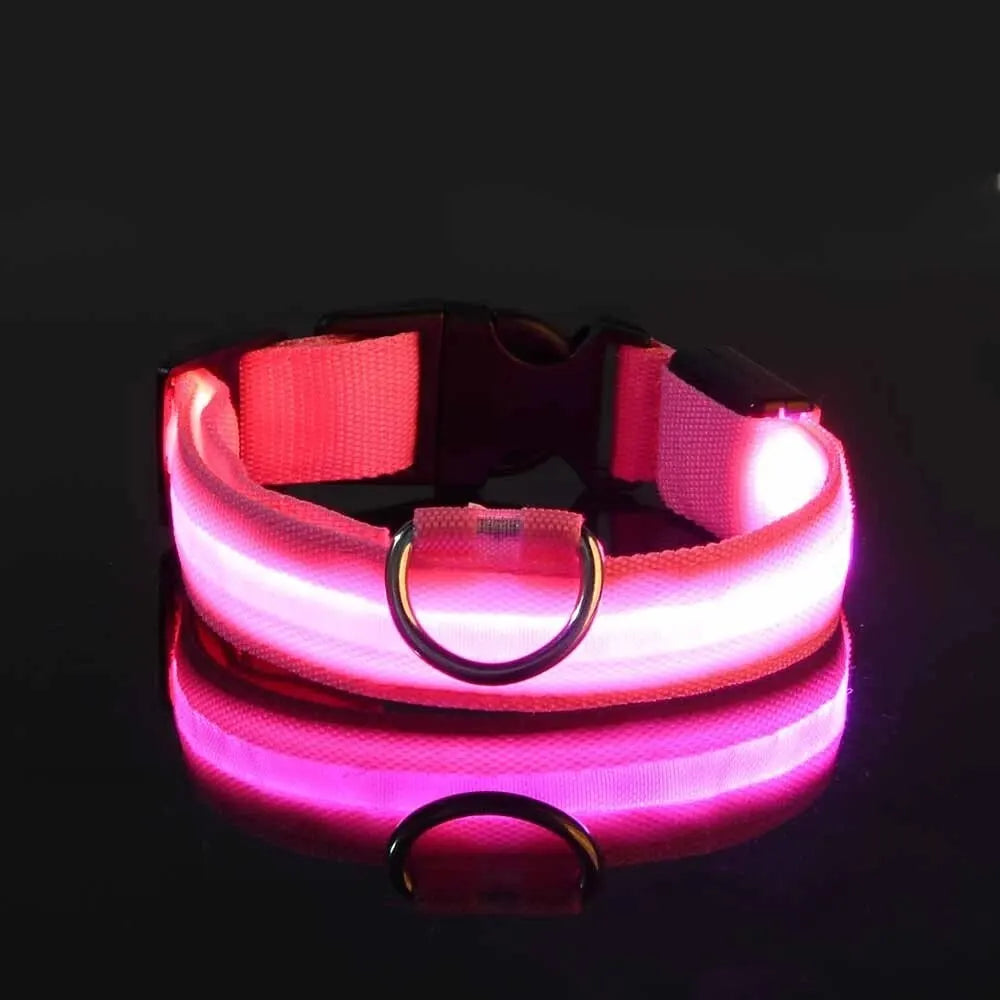 LED Glow-in-the-Dark Dog Leash & Collar – USB Rechargeable Night Safety Set