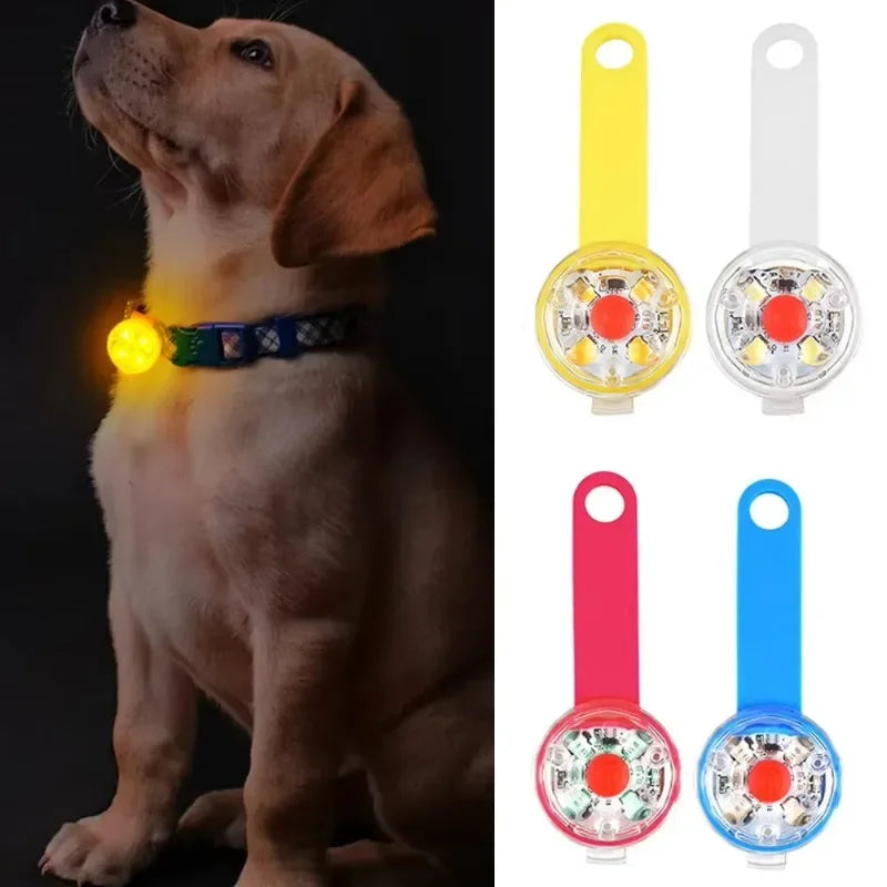 LED Safety Dog Collar – USB Rechargeable, Weatherproof Light-Up Collar for Dogs & Cats