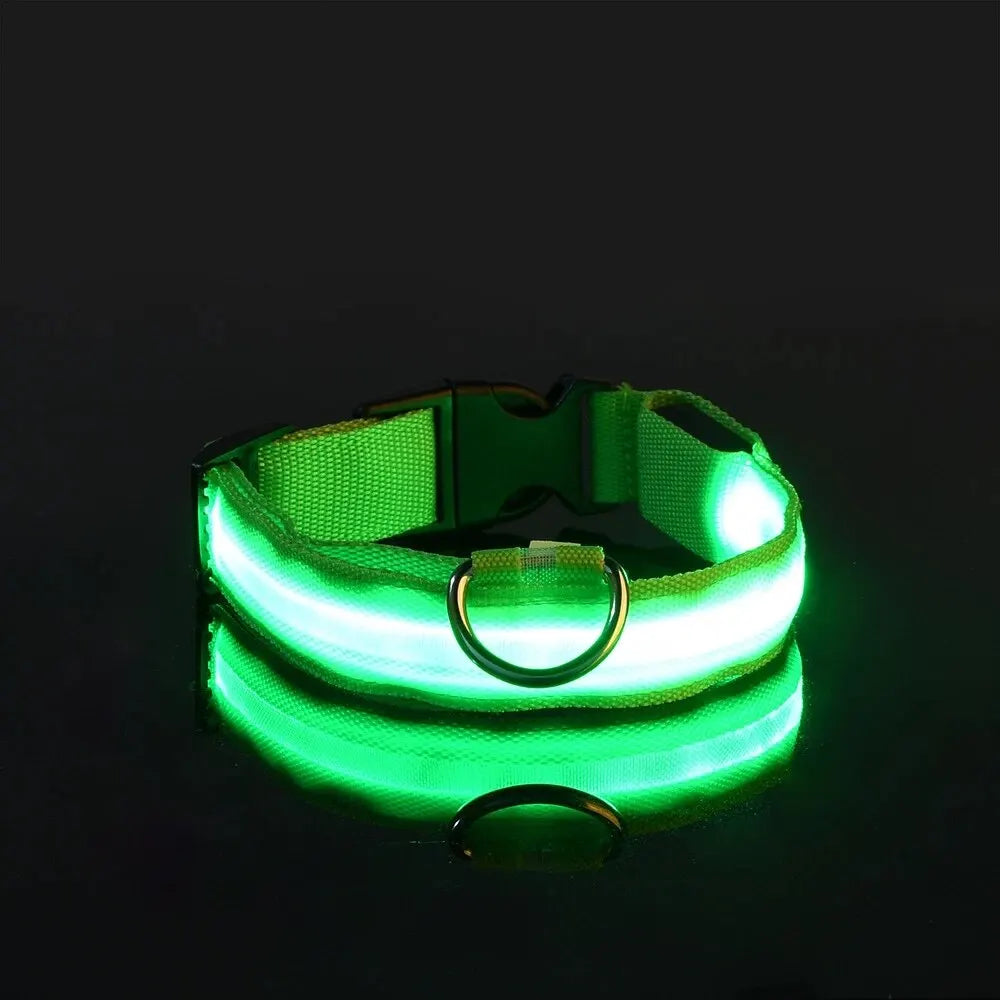 LED Glow-in-the-Dark Dog Leash & Collar – USB Rechargeable Night Safety Set