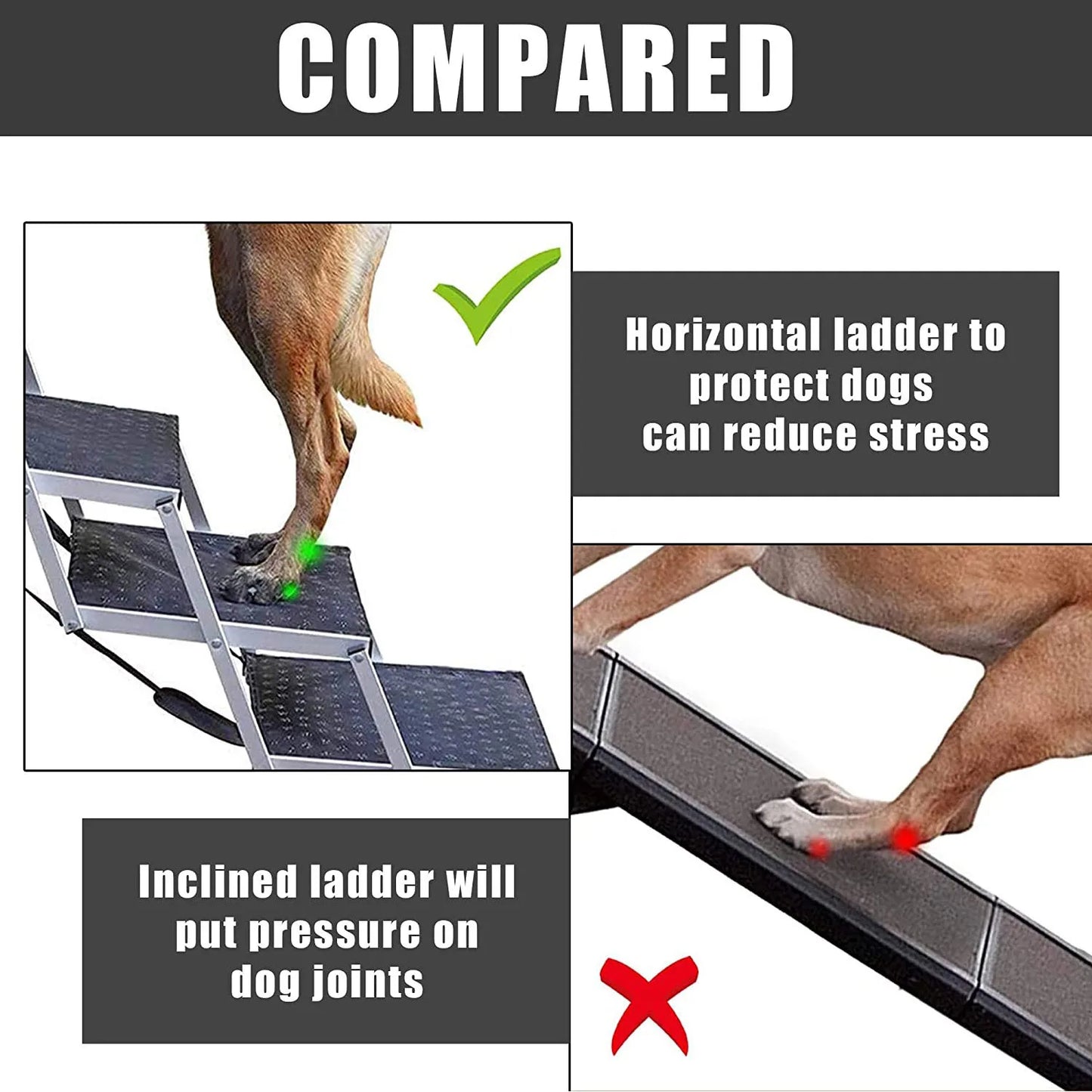 The Ultimate Pet Climbing Solution