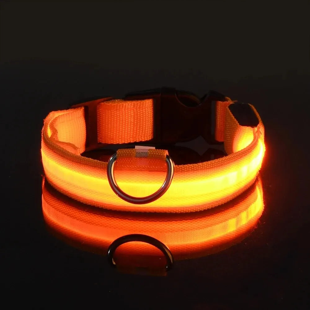 LED Glow-in-the-Dark Dog Leash & Collar – USB Rechargeable Night Safety Set