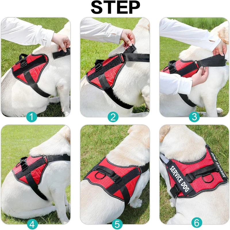Service Dog Harness