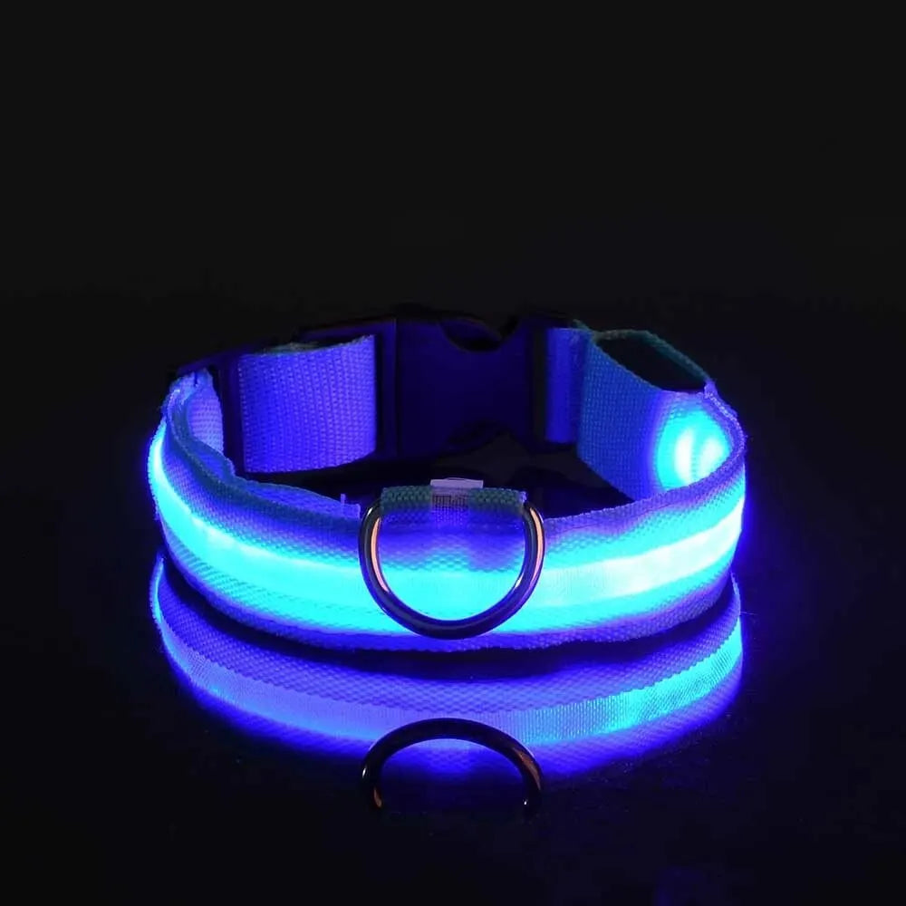 LED Glow-in-the-Dark Dog Leash & Collar – USB Rechargeable Night Safety Set