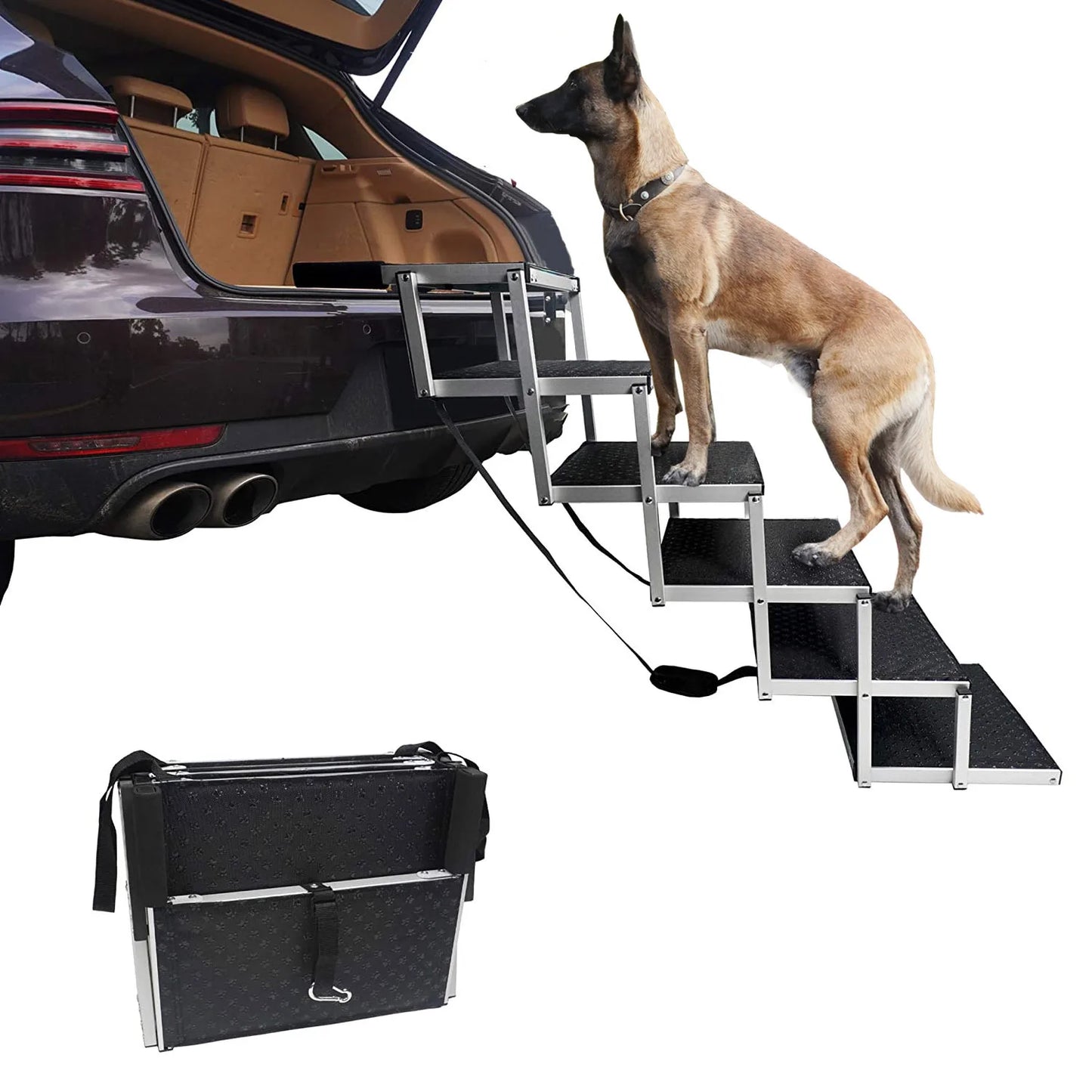 The Ultimate Pet Climbing Solution