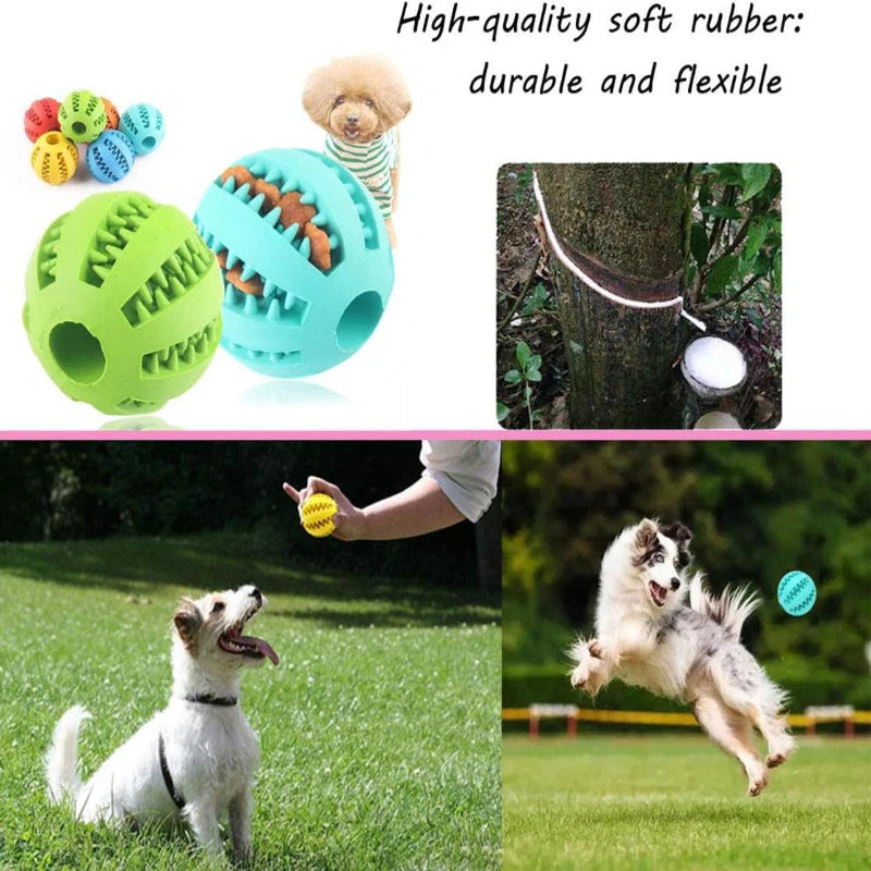 Interactive Rubber Dog Chew Ball – Treat Dispenser & Dental Cleaning Toy for Dogs & Puppies