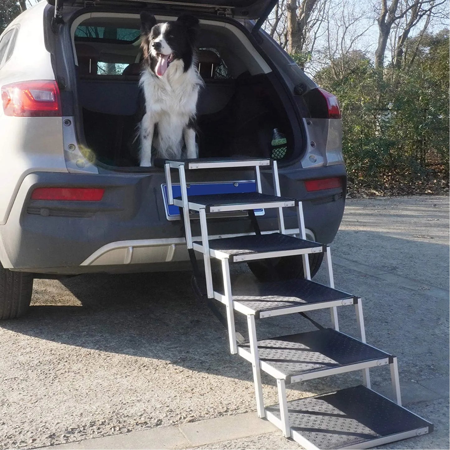 The Ultimate Pet Climbing Solution