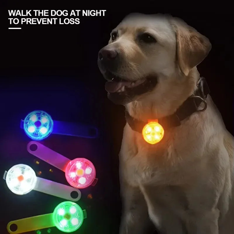 LED Safety Dog Collar – USB Rechargeable, Weatherproof Light-Up Collar for Dogs & Cats