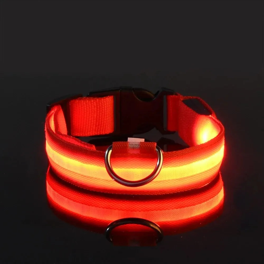 LED Glow-in-the-Dark Dog Leash & Collar – USB Rechargeable Night Safety Set