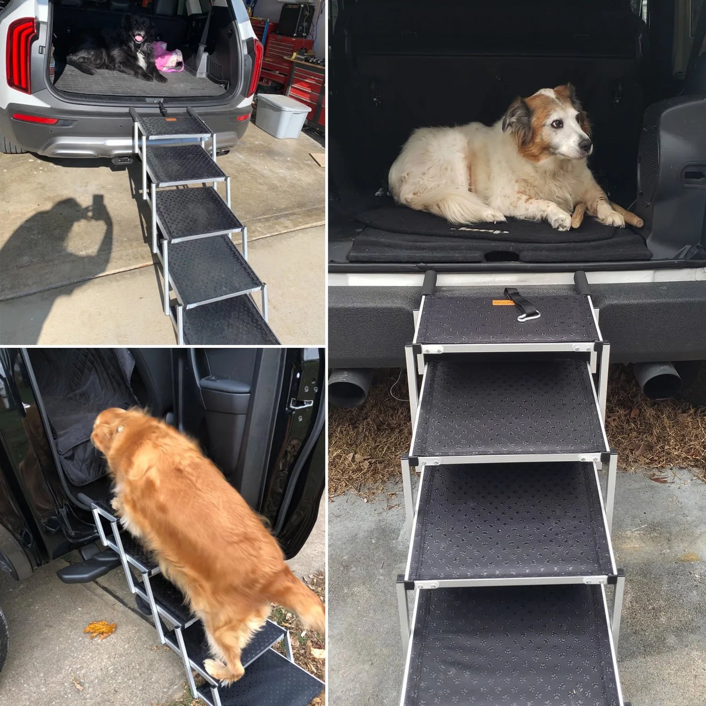 The Ultimate Pet Climbing Solution