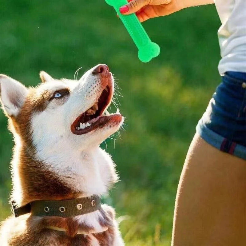 Durable Rubber Bone Chew Toy – Dental Care Toy for Aggressive Chewers & Puppies