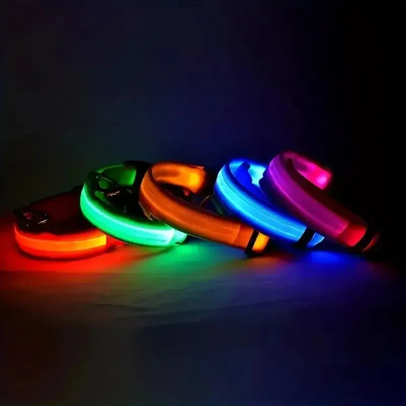 LED Glow-in-the-Dark Dog Leash & Collar – USB Rechargeable Night Safety Set