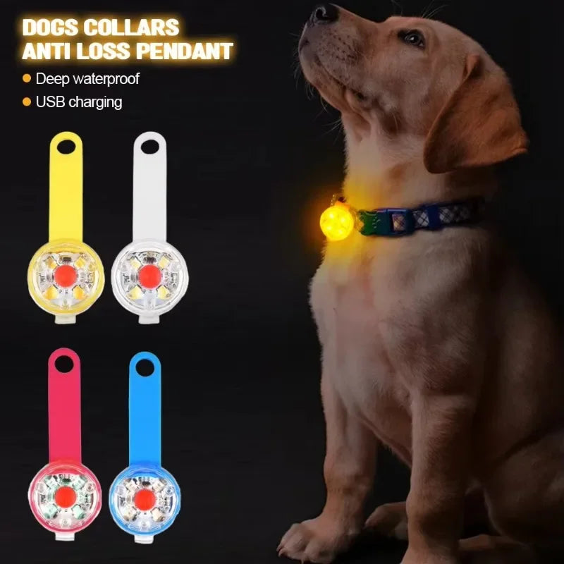 LED Safety Dog Collar – USB Rechargeable, Weatherproof Light-Up Collar for Dogs & Cats