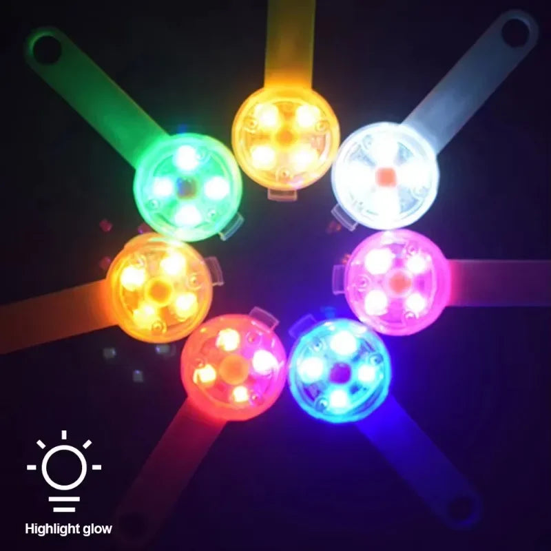LED Safety Dog Collar – USB Rechargeable, Weatherproof Light-Up Collar for Dogs & Cats