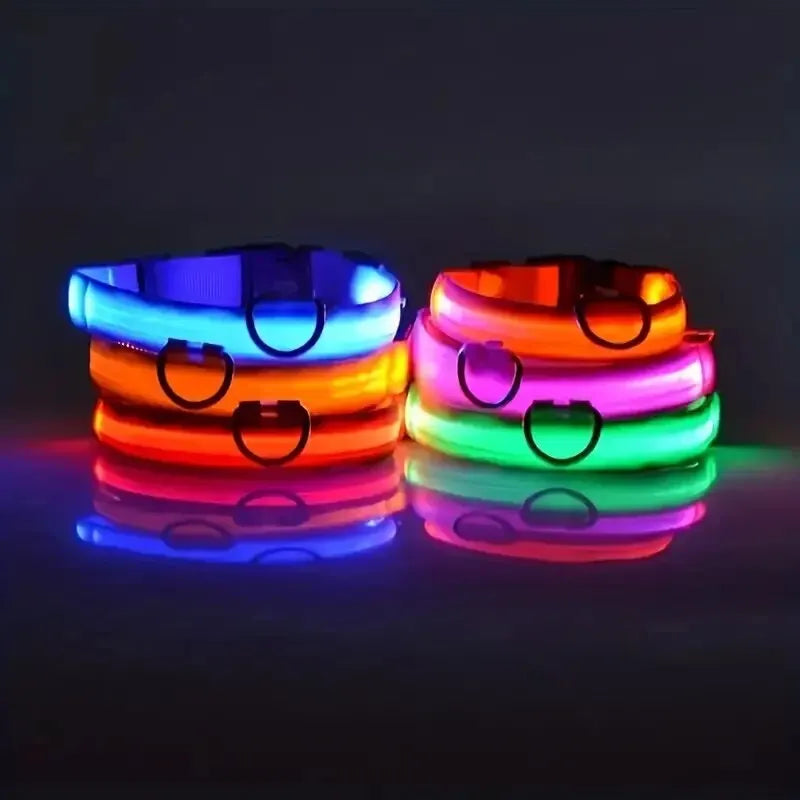 LED Glow-in-the-Dark Dog Leash & Collar – USB Rechargeable Night Safety Set