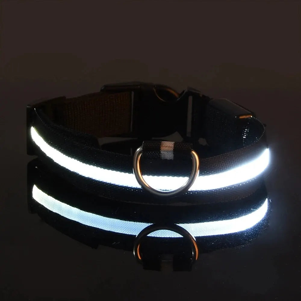LED Glow-in-the-Dark Dog Leash & Collar – USB Rechargeable Night Safety Set