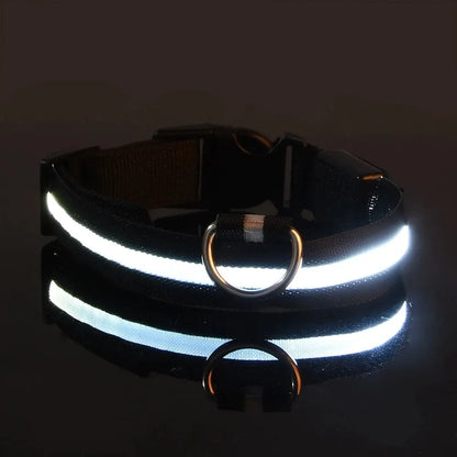 LED Glow-in-the-Dark Dog Leash & Collar – USB Rechargeable Night Safety Set