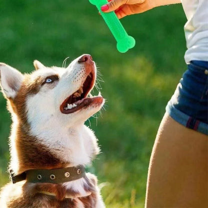 Durable Rubber Bone Chew Toy – Dental Care Toy for Aggressive Chewers & Puppies