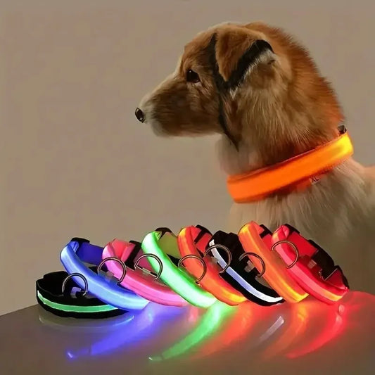 LED Glow-in-the-Dark Dog Leash & Collar – USB Rechargeable Night Safety Set