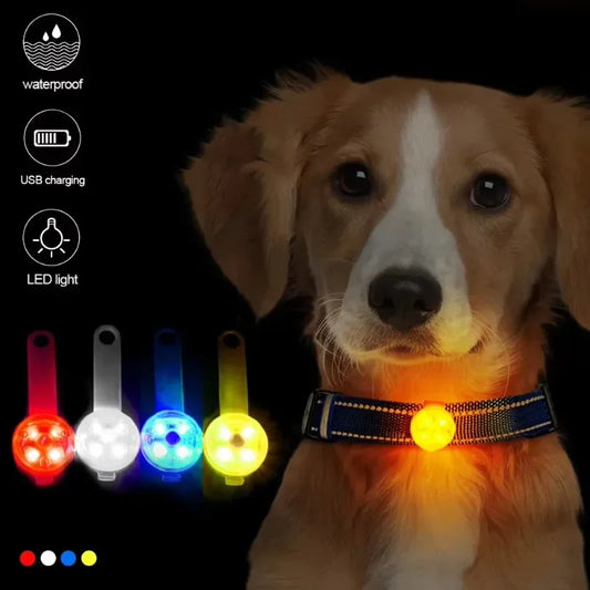 LED Safety Dog Collar – USB Rechargeable, Weatherproof Light-Up Collar for Dogs & Cats